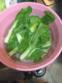 菜泡饭