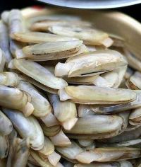 猪油蛏子
