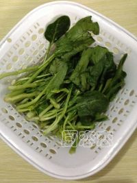 菠菜粉丝