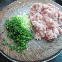 鱼香小丸子