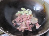 粉丝雪里红