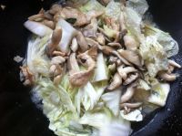 鸡腿菇白菜炒肉