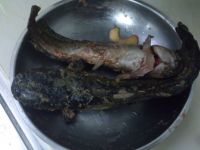 塘鲺煲黑豆