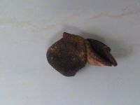 塘鲺煲黑豆