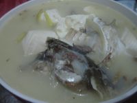 豆腐鱼头汤