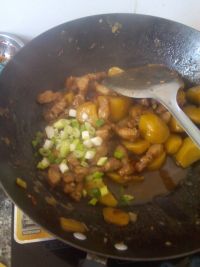 小鸡炖土豆