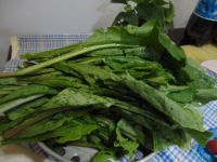 萝卜缨韭菜饽饽