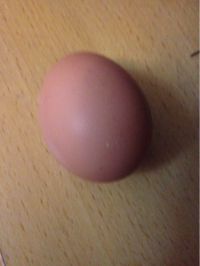 尖椒炒蛋