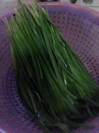 烤韭菜
