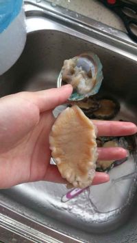 鲍鱼鸡汤