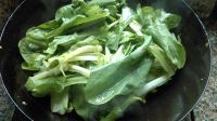 油渣炒甜菜