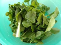 蒜香鸡毛菜