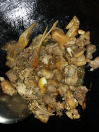红烧洋鸭