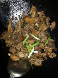 红烧洋鸭