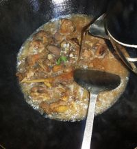 红烧洋鸭