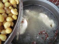 猪骨黄豆苦瓜汤