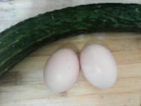 青瓜炒蛋
