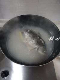 鱼胶竹荪汤