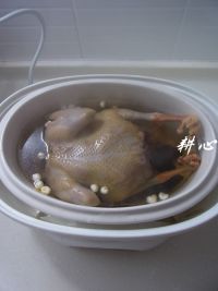 黄精川贝母炖老鸽