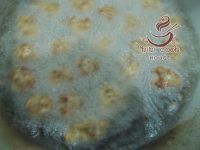 烧豆腐丸子
