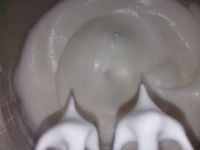 蛋白小饼干