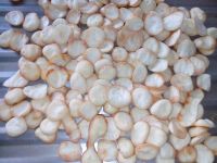 蛋白小饼干