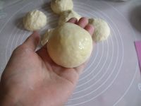 汉堡胚