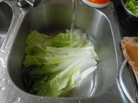 白菜炒蛋