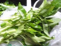 空心菜梗炒肉丝