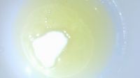 酸奶乳酪蛋糕