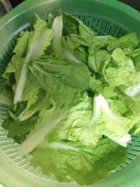 清炒小白菜