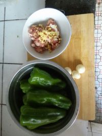 青椒肉丝