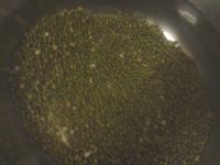 木瓜绿豆汤