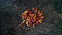 豆豉辣椒干蒸鱼干
