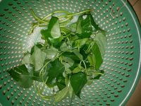 蒜香蕃薯叶