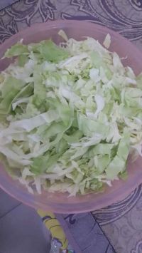 粉丝圆白菜