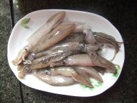 爆炒鱿鱼