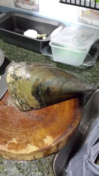 蒜蓉粉丝蒸带子