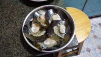 蒜蓉粉丝蒸带子