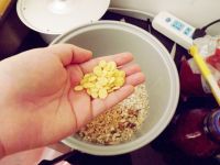 自制黑糖Granola