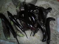 茄子干