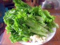蚝油生菜