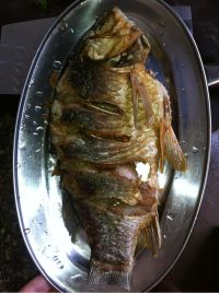 红烧鱼
