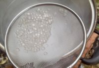 椰汁龟苓膏西米露