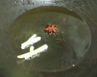 香辣啤酒猪蹄
