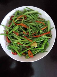 营养青菜香菇