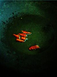 土豆炒肉