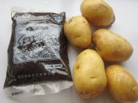 土豆豆沙饼