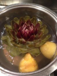 洋蓟 Artichoke