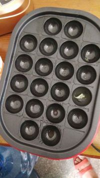 章鱼烧